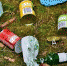 В 2019 году в Иркутской области приступят к строительству мусороперерабатывающего завода - Usolie.Info