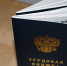 В России предложили продлевать срочные трудовые договоры в отдельных случаях - Usolie.Info