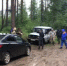 В Усольском районе увеличена группировка сил и средств, привлеченных к розыску пропавшего грибника - Usolie.Info