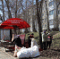 06.05.2022. Общегородской субботник в Усть-Илимске - Ilim24.Ru