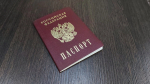 Иностранцам в Усолье для получения гражданства потребуется военный контракт