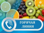 С 1 июня по 30 июня 2026 года на территории Усть-Илимска проводится месячник качества и безопасности овощей и фруктов