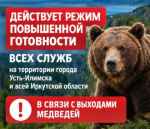 Режим повышенной готовности в связи с участившимися выходами медведей к населённым пунктам